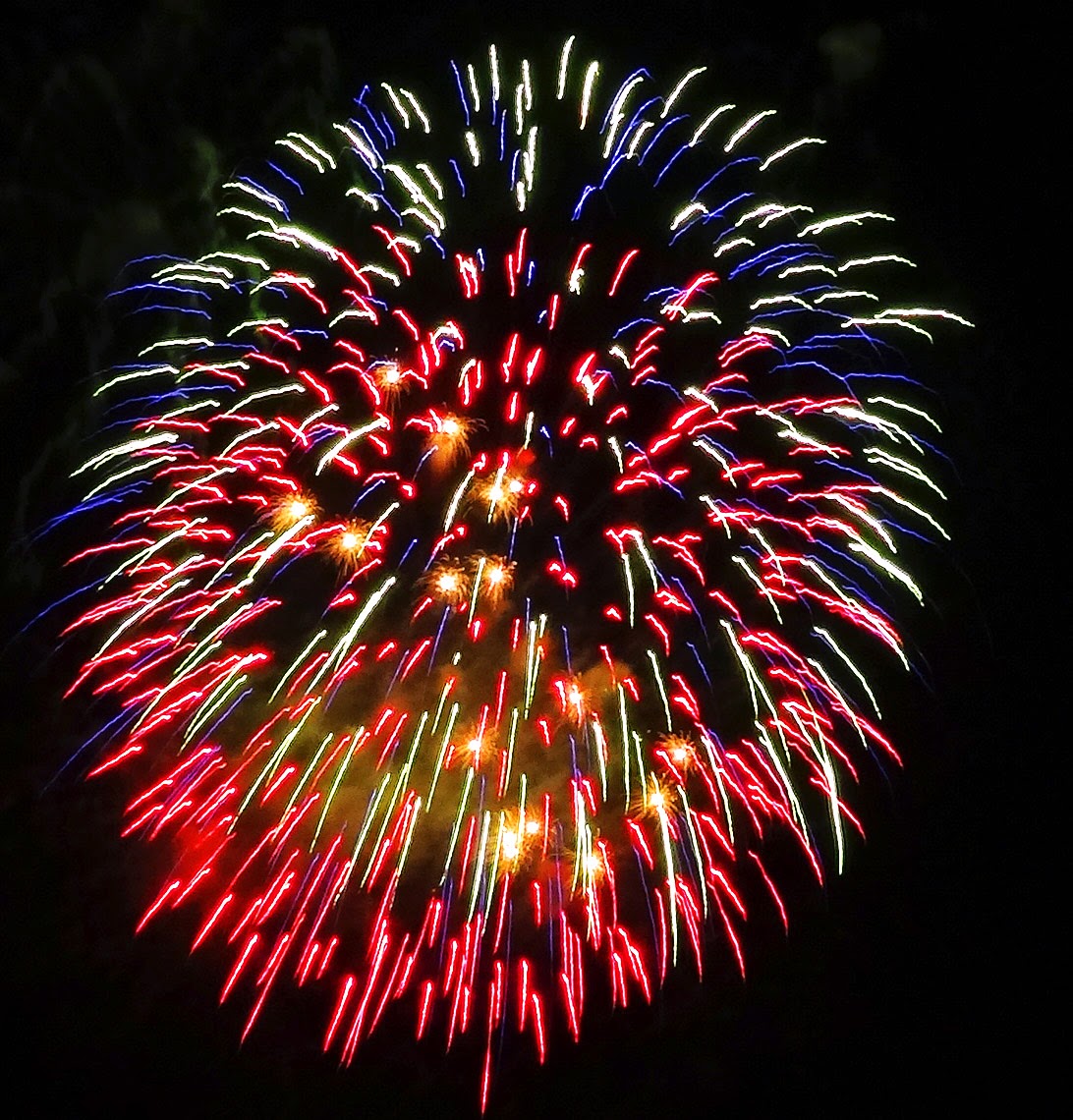 Fireworks2 Baroda Township